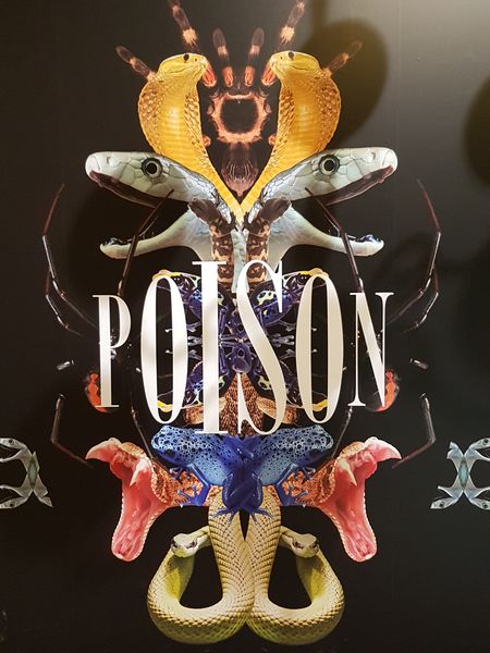 20190418_2146_sortie_paris_expo_poisons_17